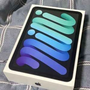 Ipad mini 64 gb wifi 6th gen